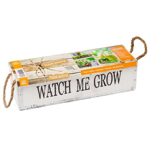 Watch me grow Pflanz-Set Samen versch. Sorten Geschenkidee inkl. Holzkiste Tee