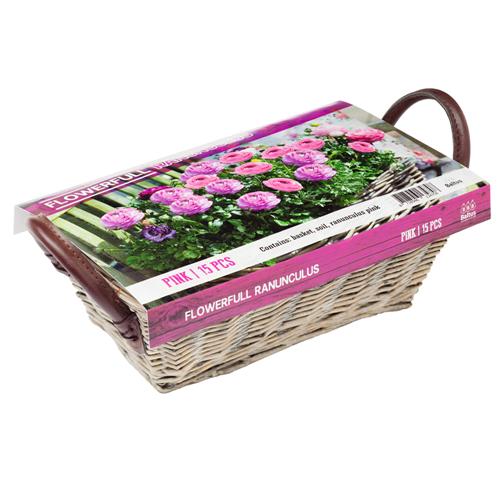 Flowerfull Blumen-Mix Pflanzset verschiedene Sorten Ranunkel Anemone Garten Ranunculus Pink
