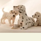 Hunde