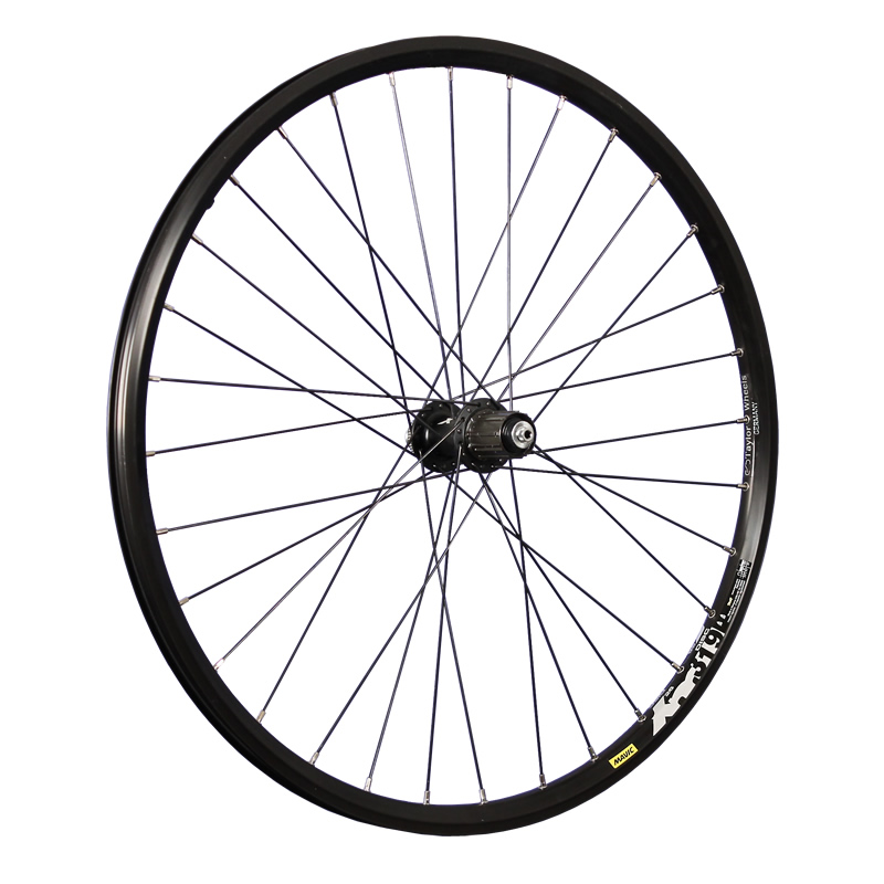 bicycle rear wheel