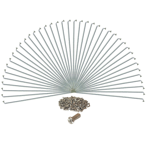 SPEICHEN Post Cargo Speichen  - silber (40 Stk.)