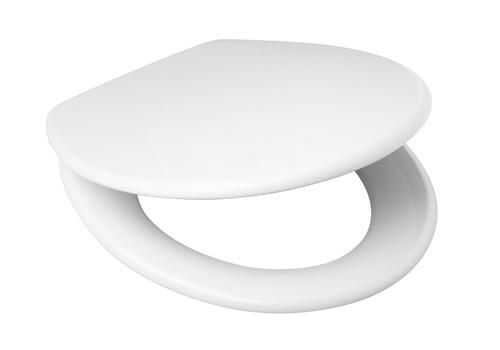 WC-Sitz-passend-fuer-Ideal-Standard-Laguna-Edelstahlschaniere-Duoplast