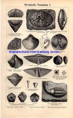 Orig.-Stich aus 1893: Devonische Formation I-II