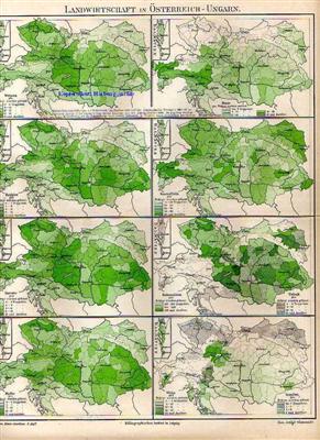 Orig.-Stich 1893 Landkarte: Landwirtschaft in Österreich-Ungarn
