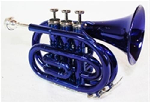 Taschentrompete-in-verschiedenen-Farben-Koffer-NEU