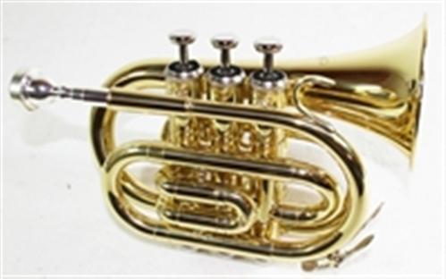 Taschentrompete-in-verschiedenen-Farben-Koffer-NEU