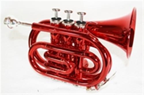 Taschentrompete-in-verschiedenen-Farben-Koffer-NEU