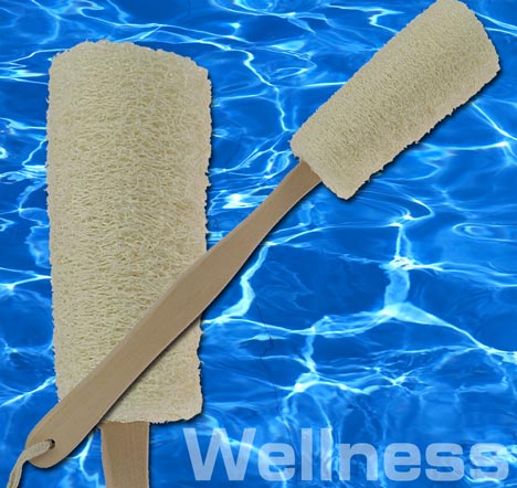 SAUNA Wellness BIO LUFFA Massagebürste Naturhaar 9350
