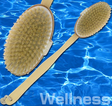 SAUNA Wellness BIO Bürste Massagebürste Naturhaar 9351