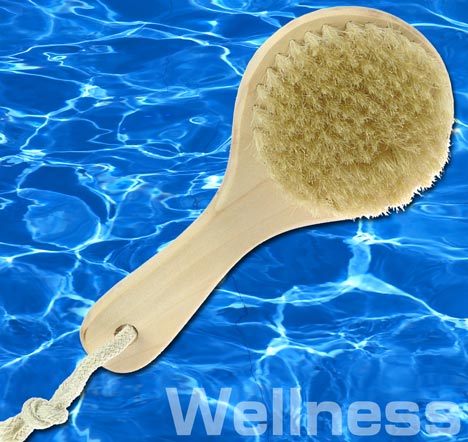 SAUNA Wellness BIO Bürste Massagebürste Naturhaar 9352