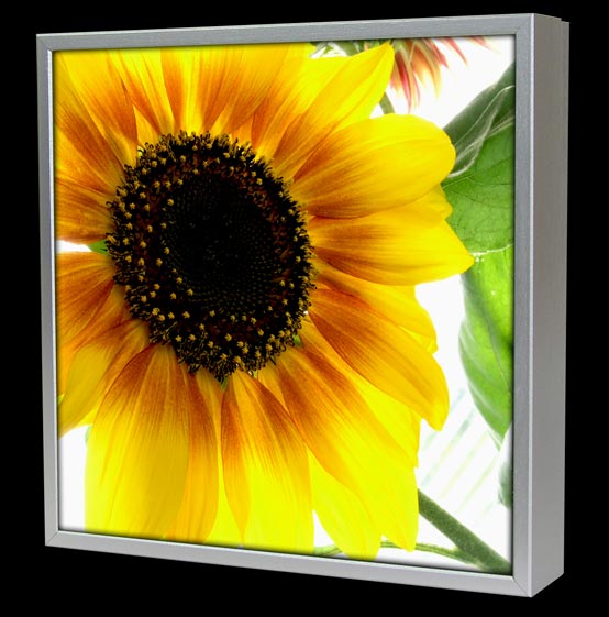 Design Schlüsselkasten Sonne Schlüssel silber 10101