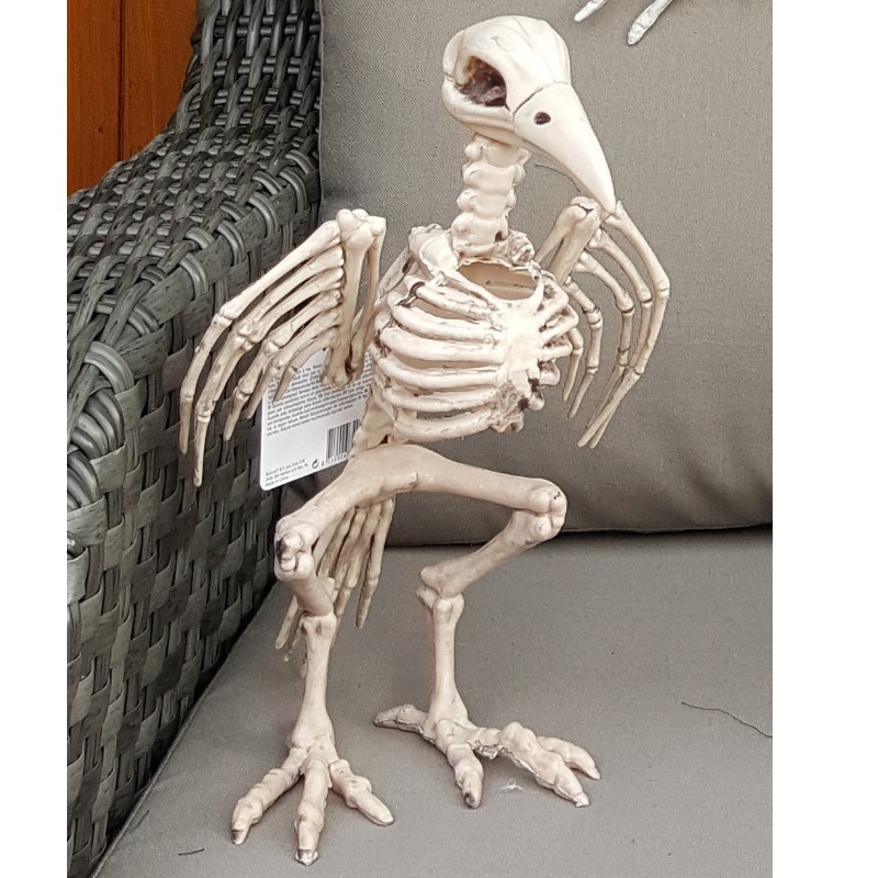 Halloween Skelett Deko Mit LED Licht - Animierte Zombie Figur 23x20cm