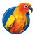 Top25 Vogelseiten