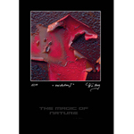 The Magic of Nature "Oxidation I"