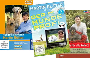 Nicht für Katzenaugen