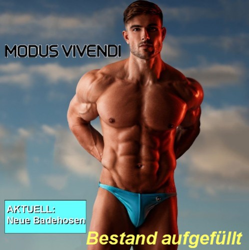 Modus Vivendi