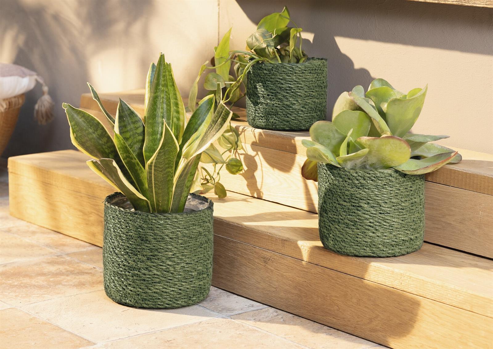 3x Pflanzkorb "Green" aus Seegras, grn, Blumentopf, Pflanzkbel, Pflanztopf  fr Drinnen & Drauen, Blumenkbel