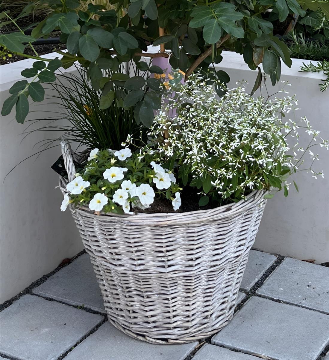Rattan Pflanzkorb "Rustikal" rund  40x30 cm gro, grau, Outdoor  Blumentopf, Pflanzkbel, Pflanztopf fr Drauen, Blumenkbel