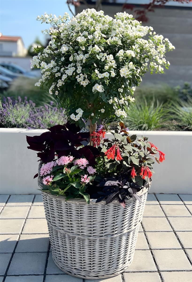 ikea blumenständer schwarz Buskbo plant stand rattan – Beae