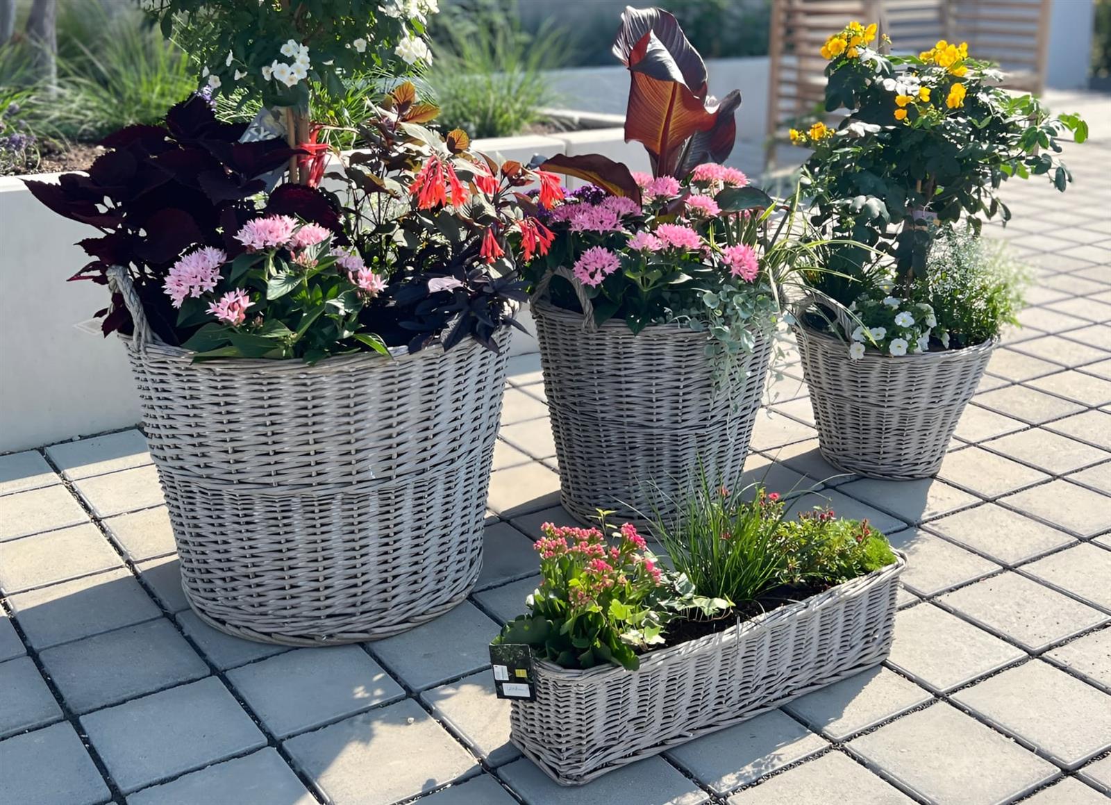 blumenkasten 25 cm tief Blumenkasten 