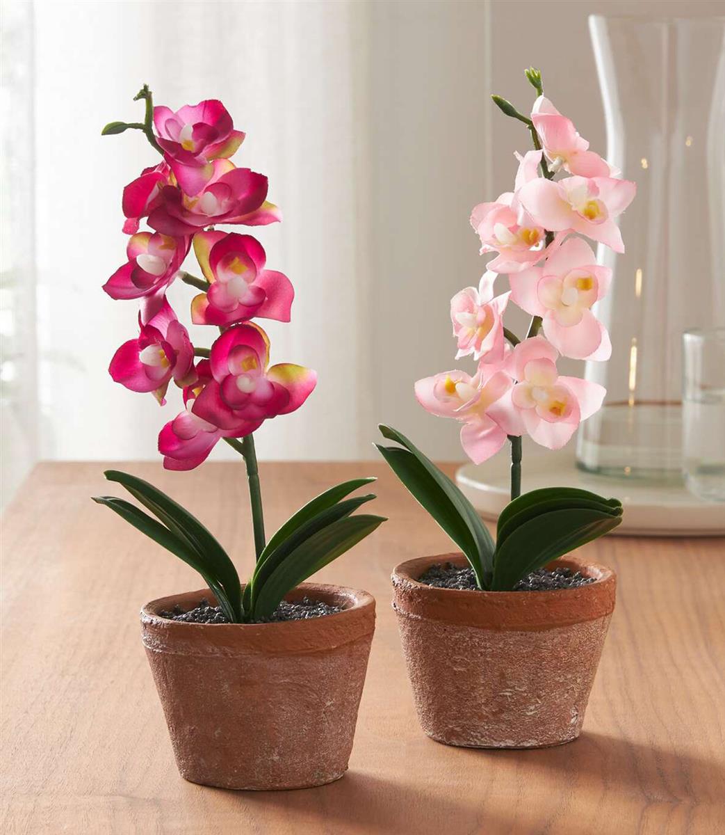2x Kunstpflanze "Orchidee" mit Topf, Kunstblume 25 cm hoch, knstliche  Pflanzen wie echt, kleine Blumen, Orchideen in rosa und pink