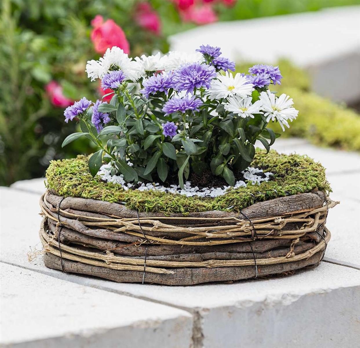 üppige blumenkästen Beton Blumenkasten grau, länglich