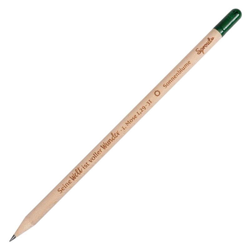 nachhaltiger Bleistift
