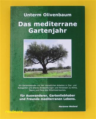 thuja 30 cm Thuja Brabant 190/200 cm 30 Litre Pot — Grasslands Nursery main image 0