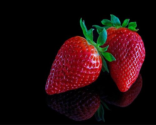 Erdbeerpflanzen 10 Stück  Fragaria Korona Pflanzen  Erdbeeren Topf gewachsen