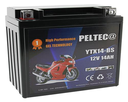 Peltec Motorrad Batterie GEL YTX14-BS 12V 14Ah Akku JMTX14-BS ETX14-BS