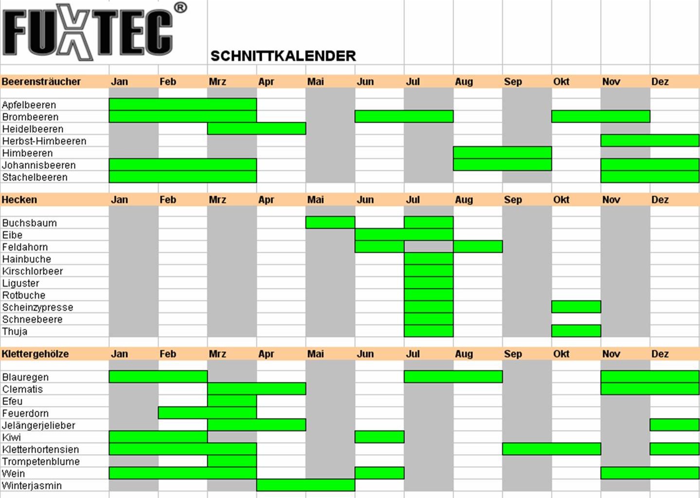 FUXTEC Heckenschere Benzin Motorheckenschere NEU  