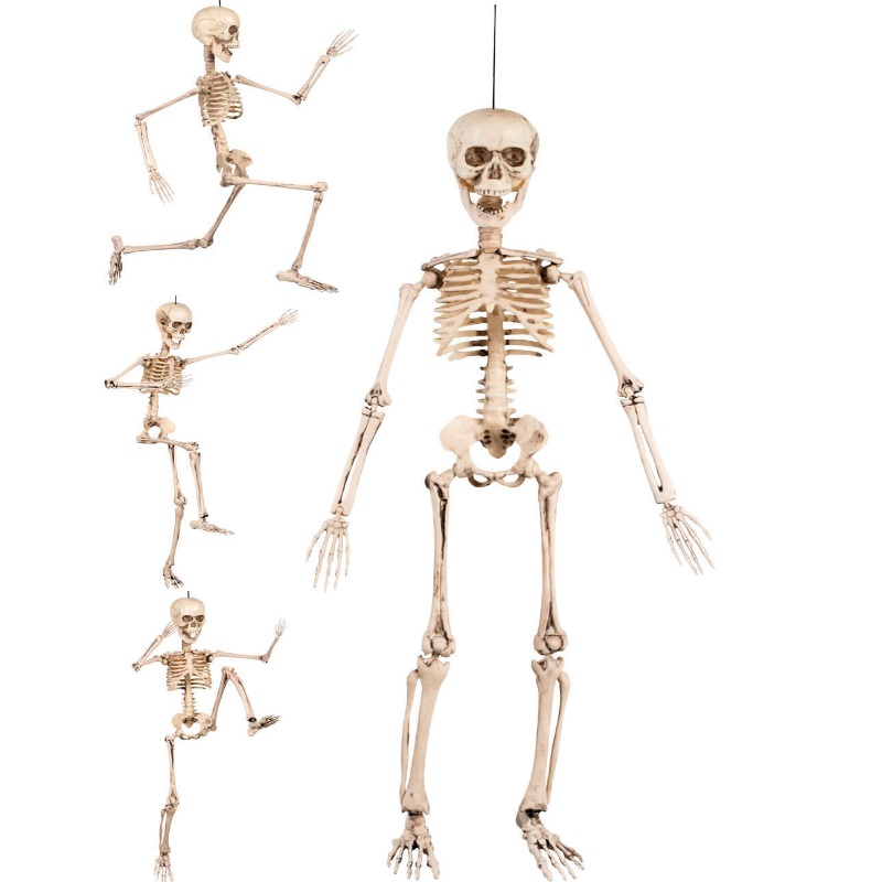 Skeleton Skelett beweglich 50 cm Karneval Fasching ...