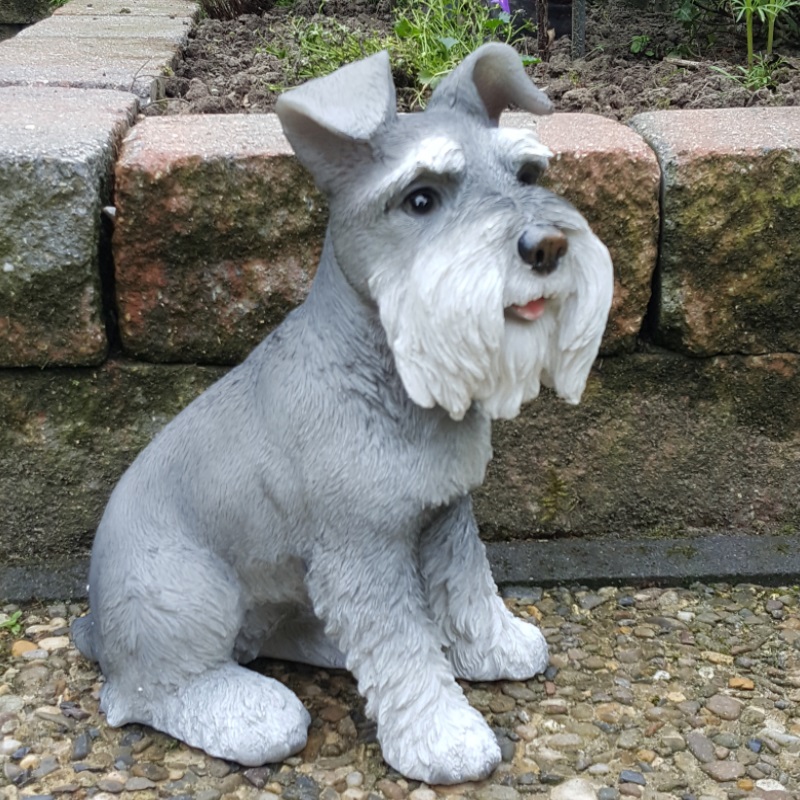 Deko Figur SCHNAUTZER HUND lebensechte Garten Tierfigur lebensgroß