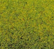 NOCH 50210 Frühlingswiesen-Gras 100 g Beutel