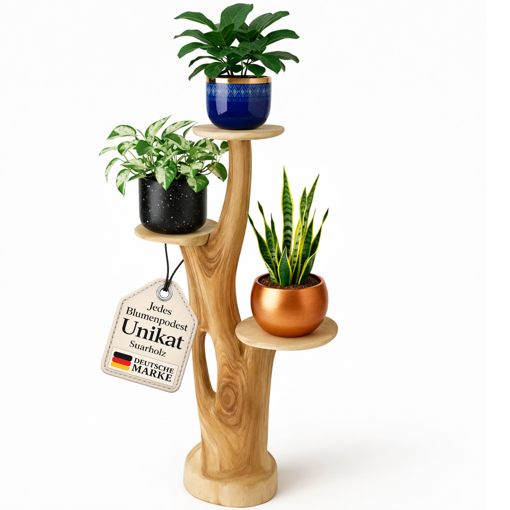 künstliche pflanzen günstig kaufen Kunstpflanze Alocasia 80 cm schnell günstig online kaufen