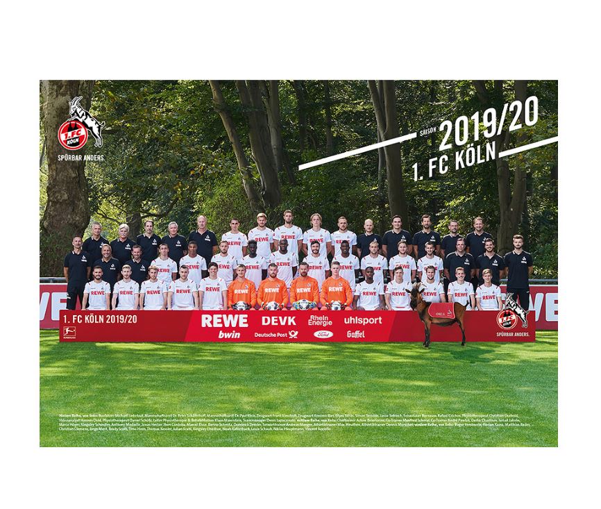 1. FC Köln Poster / Teamposter ** Mannschaftsposter 2019 ...