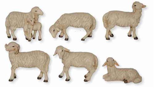 Schafe mit widder und Lamm