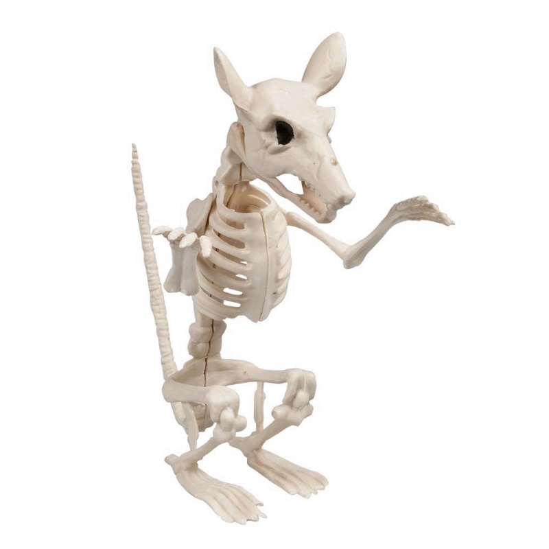 Halloween Deko Ratten Skelett 34cm - Grusel Deko Für Halloween Party