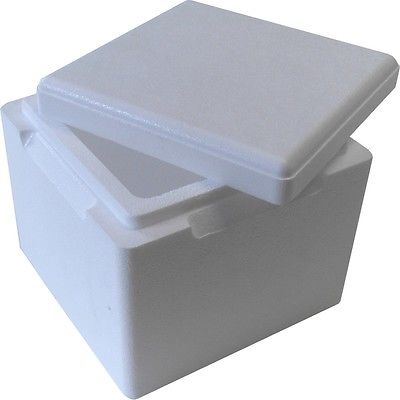 Isolierbox mit Deckel 3,5L 225x225x195mm Styroporbox Kühlbox Thermobox