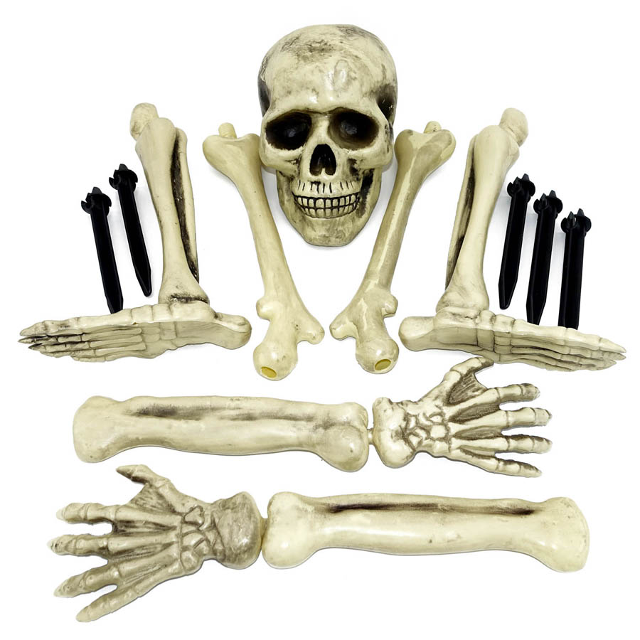 7542_7121_Skelett_Set_Halloween_Heitmann_Bild1_900x900.jpg