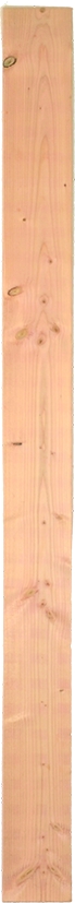 AALBORG-Serie, Lärche Füllbrett 14 x 180 cm, 16 mm stark