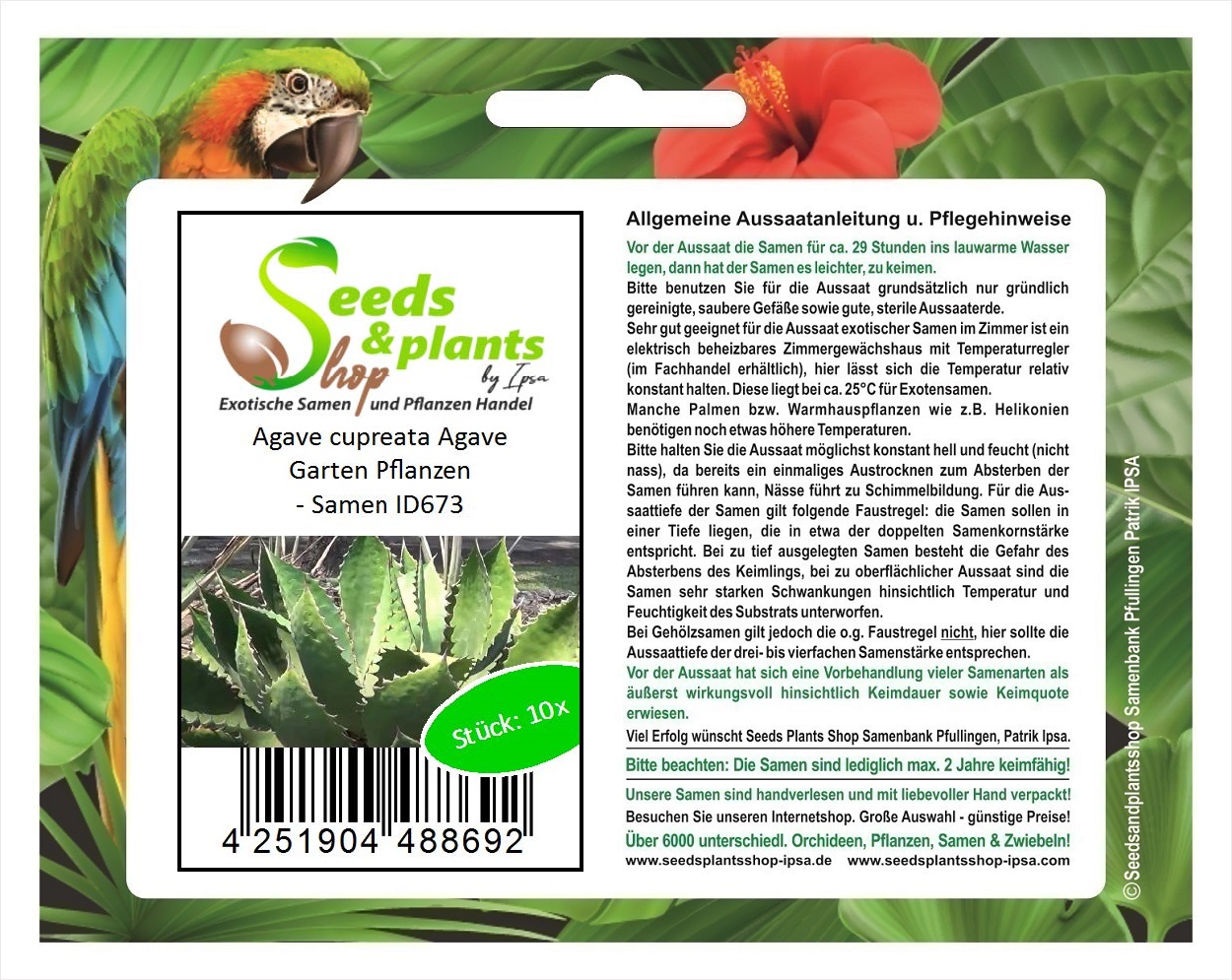 10x Agave cupreata Agave Garten Pflanzen - Samen ID673 | eBay