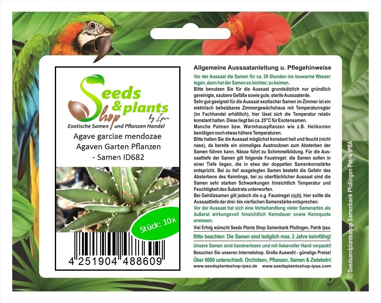 10x Agave garciae mendozae Agaven Garten Pflanzen - Samen ID682 | eBay