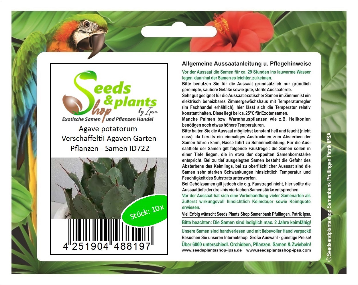10x Agave potatorum Verschaffeltii Agaven Garten Pflanzen - Samen ID722 |  eBay