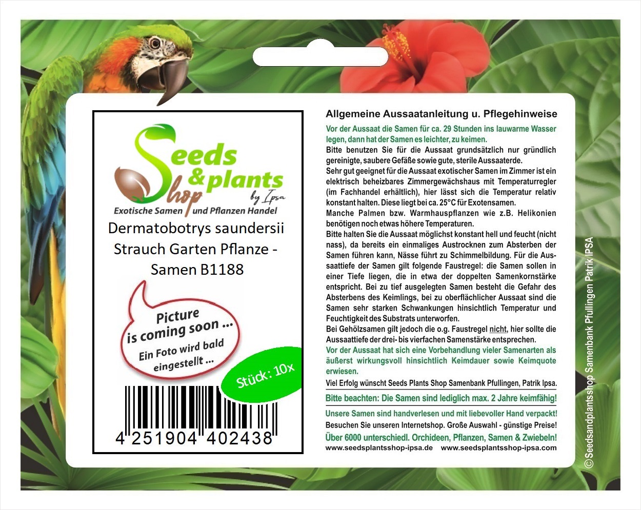 10x Dermatobotrys saundersii Strauch Garten Pflanze - Samen B1188