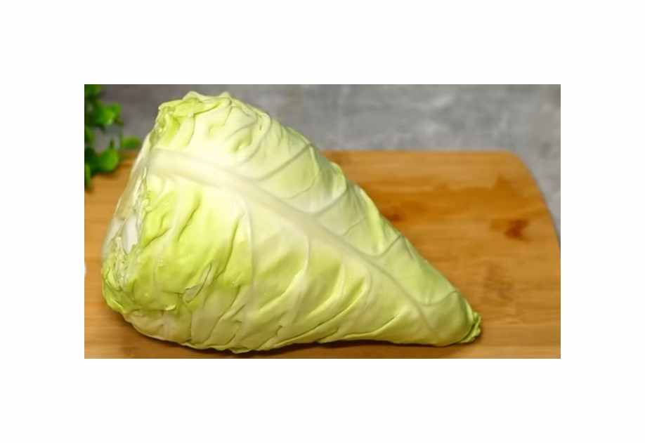 110x Spitzkohl Filderkraut Brassica oleracea Gemüse Pflanzen - Samen K515