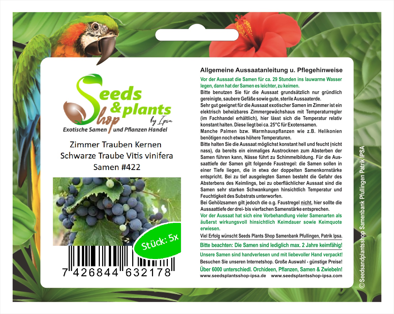 5x Zimmer Trauben Kernen Schwarze Traube Vitis Vinifera Samen 422