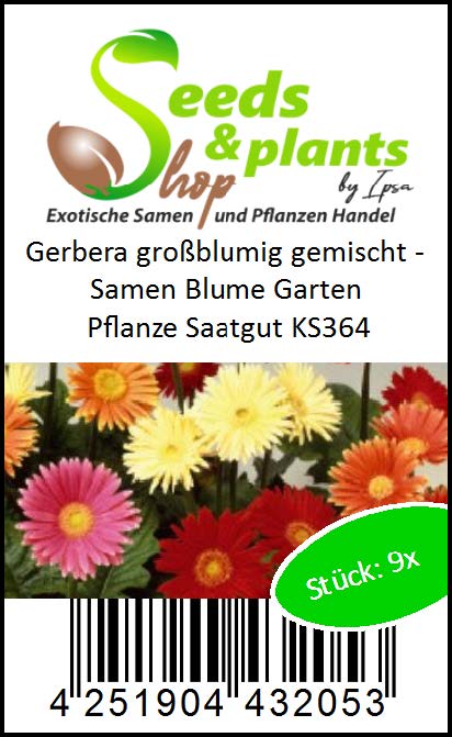 550 Stück Exotische Zimmerpflanzen Samen Indoor Set Zimmerpflanze