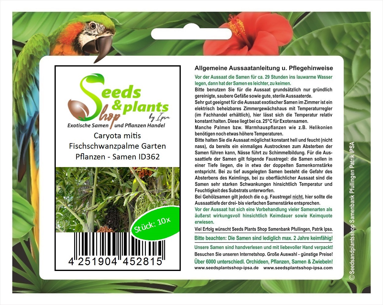 Produktbild von Fischschwanzpalme (Caryota Mitis): Pflege & | Die Grüne Welt