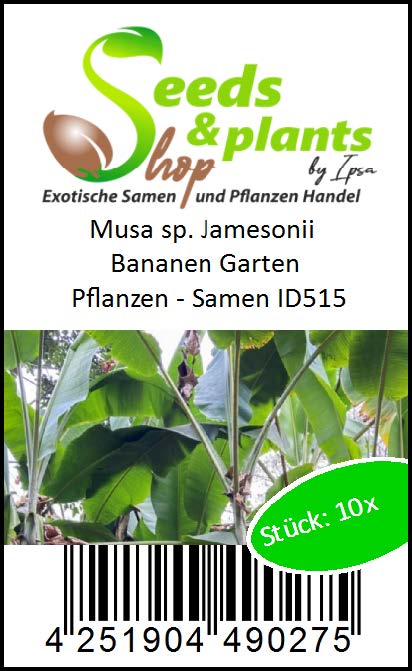 10x Musa sp. Jamesonii Bananen Garten Pflanzen Samen ID515